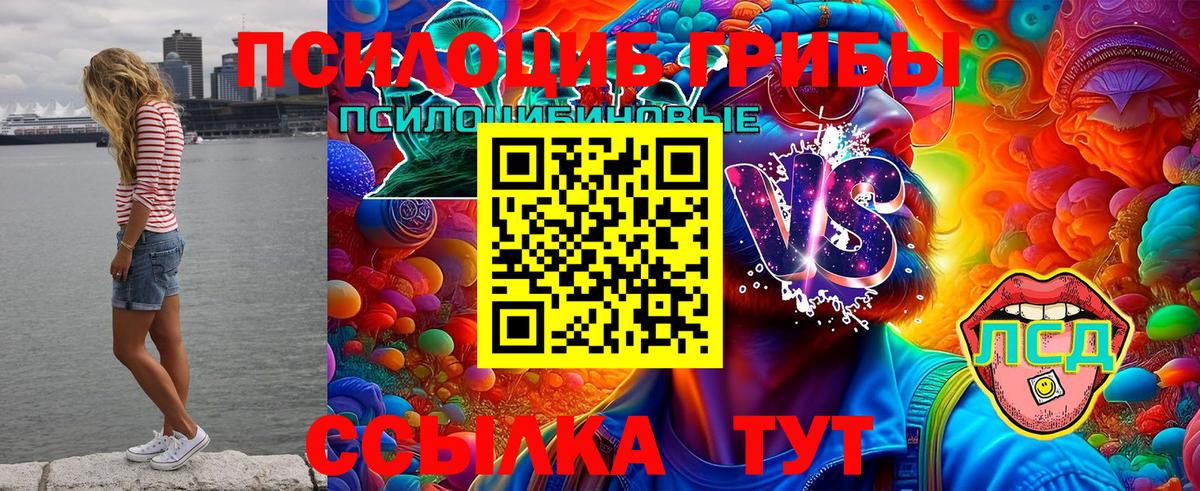 Псилоцибиновые грибы мицелий Тверь