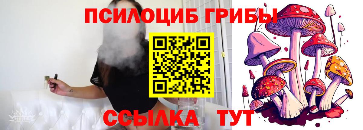 Тверь  цены наркотик  Вход с VPN  Псилоцибиновые грибы Magic Shrooms 